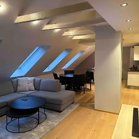 Flott Og Stor Midt I Sentrum *