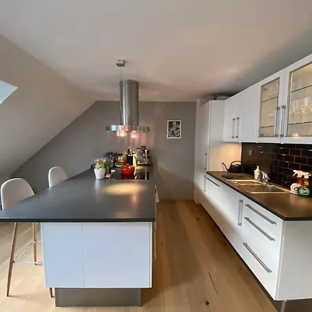 Flott Og Stor Midt I Sentrum 公寓